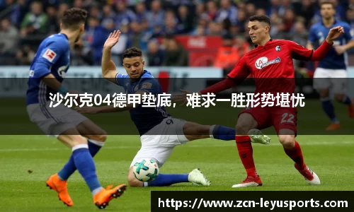 乐鱼体育官网