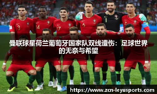 乐鱼体育官网