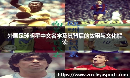 乐鱼体育公司