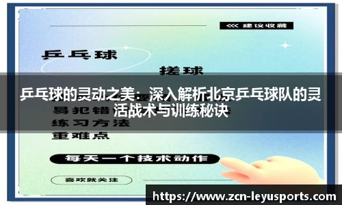 乒乓球的灵动之美:深入解析北京乒乓球队的灵活战术与训练秘诀